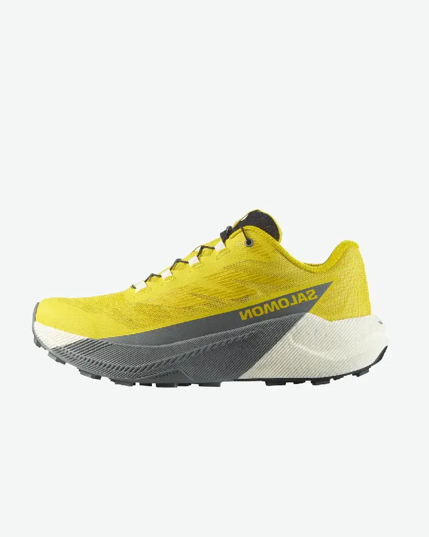 Salomon Pulsar M - L47973200 (0) au meilleur prix !