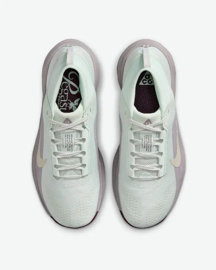 Acg Pegasus Trail Gore-Tex W - IQ1394-300 (3) au meilleur prix !