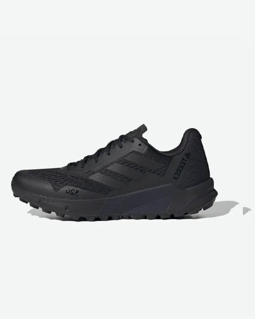 Adidas Terrex Agravic Flow 2 Gore-Tex Homme