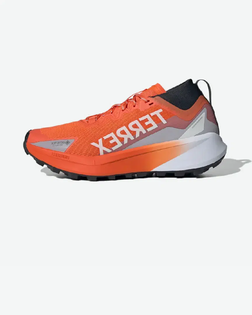 Adidas Terrex Agravic Gtx M - Men (20) au meilleur prix !