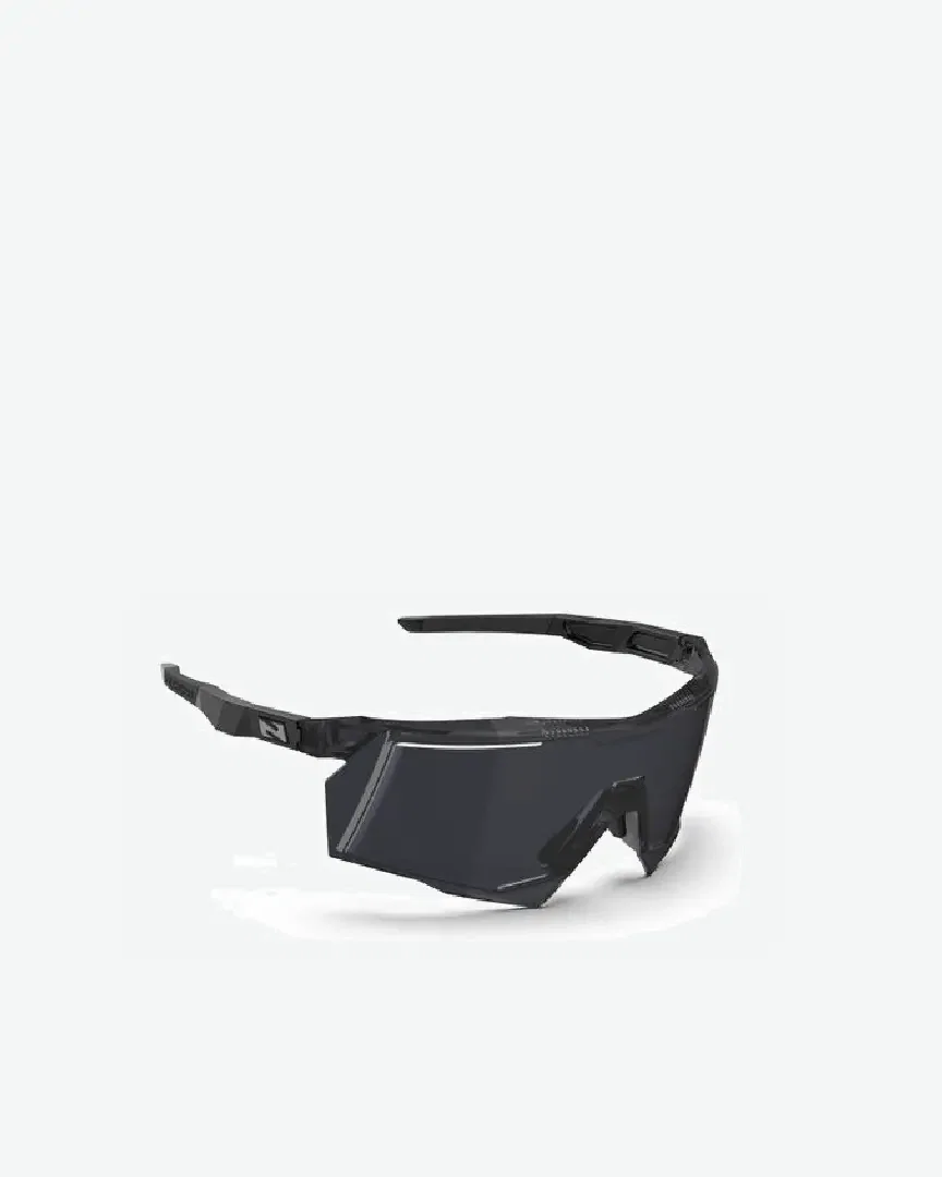 Aerostorm Sport Sunglasses Smoke Black Homme