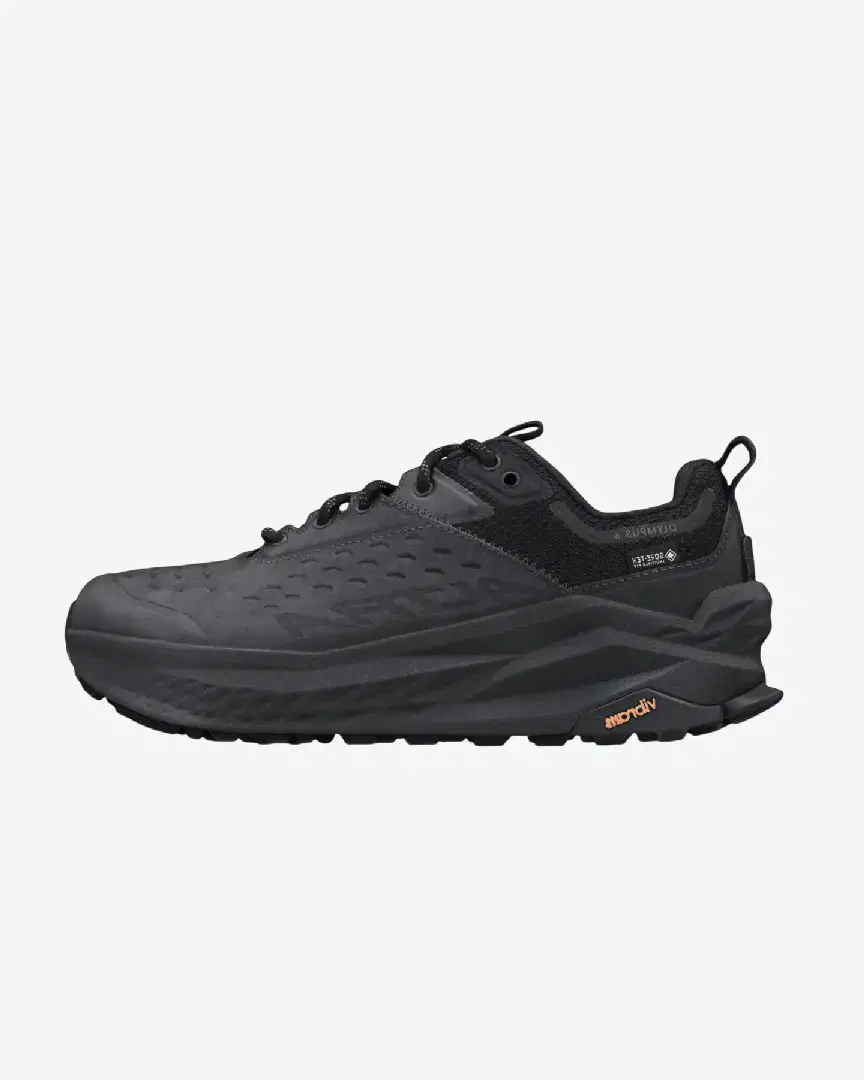 Altra Olympus 6 Hike Low Gtx W - Women (15) au meilleur prix !