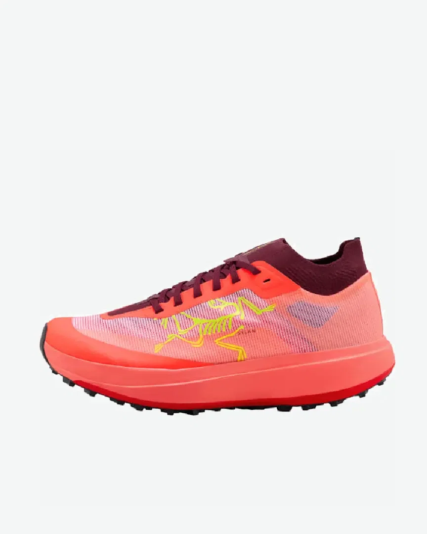 Arc'teryx Sylan Pro M