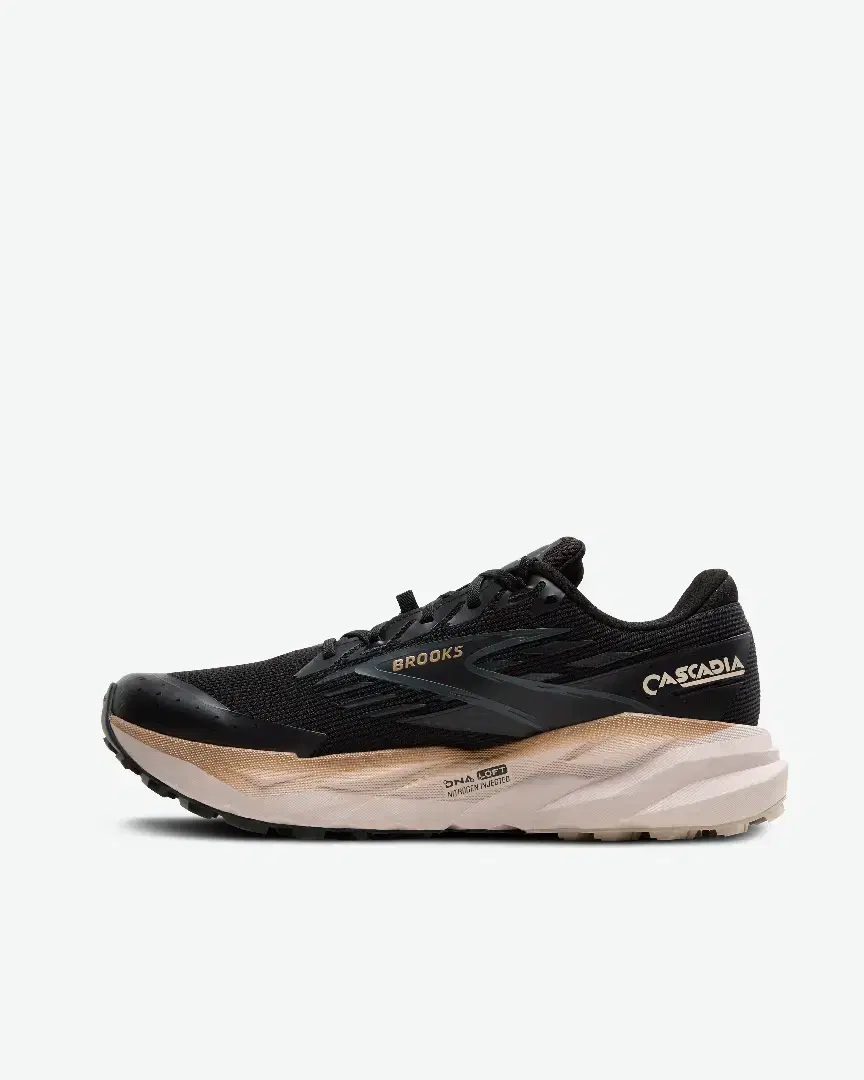 Brooks Cascadia 19 Gtx Trail M - 1104561D065 (4) au meilleur prix !