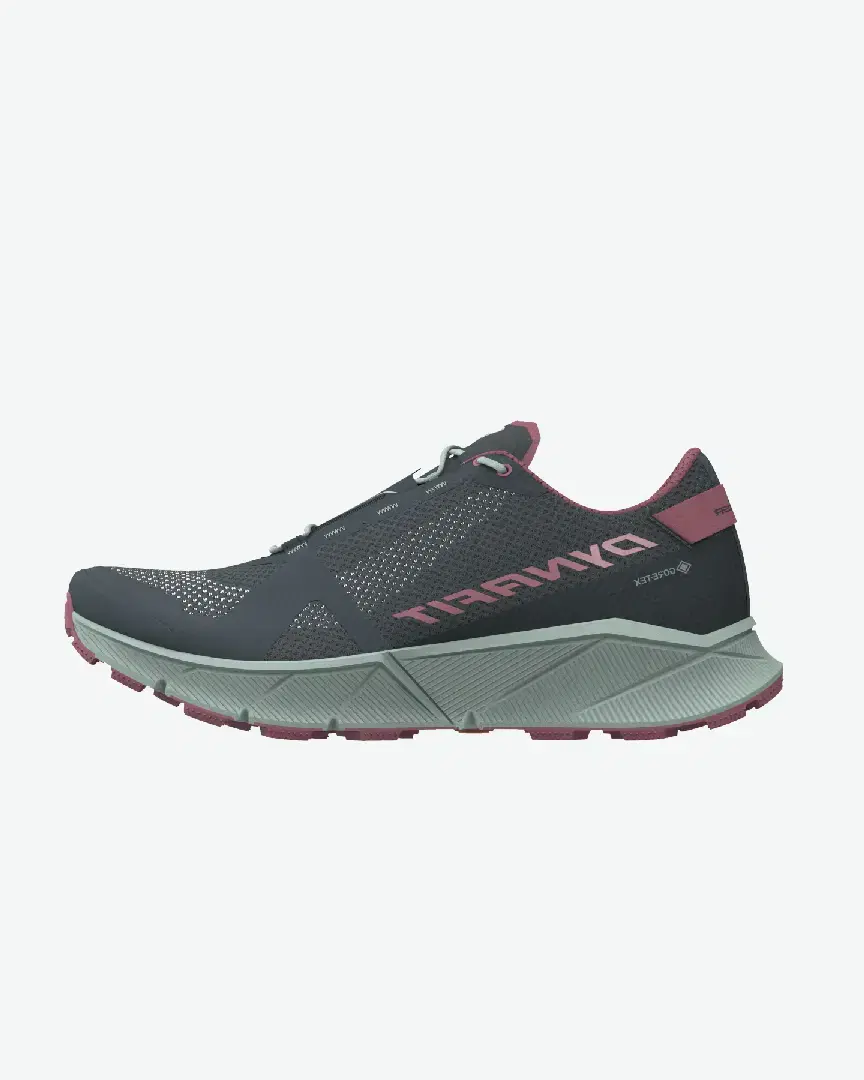 Dynafit Ultra 100 Gtx W - Women (9) au meilleur prix !