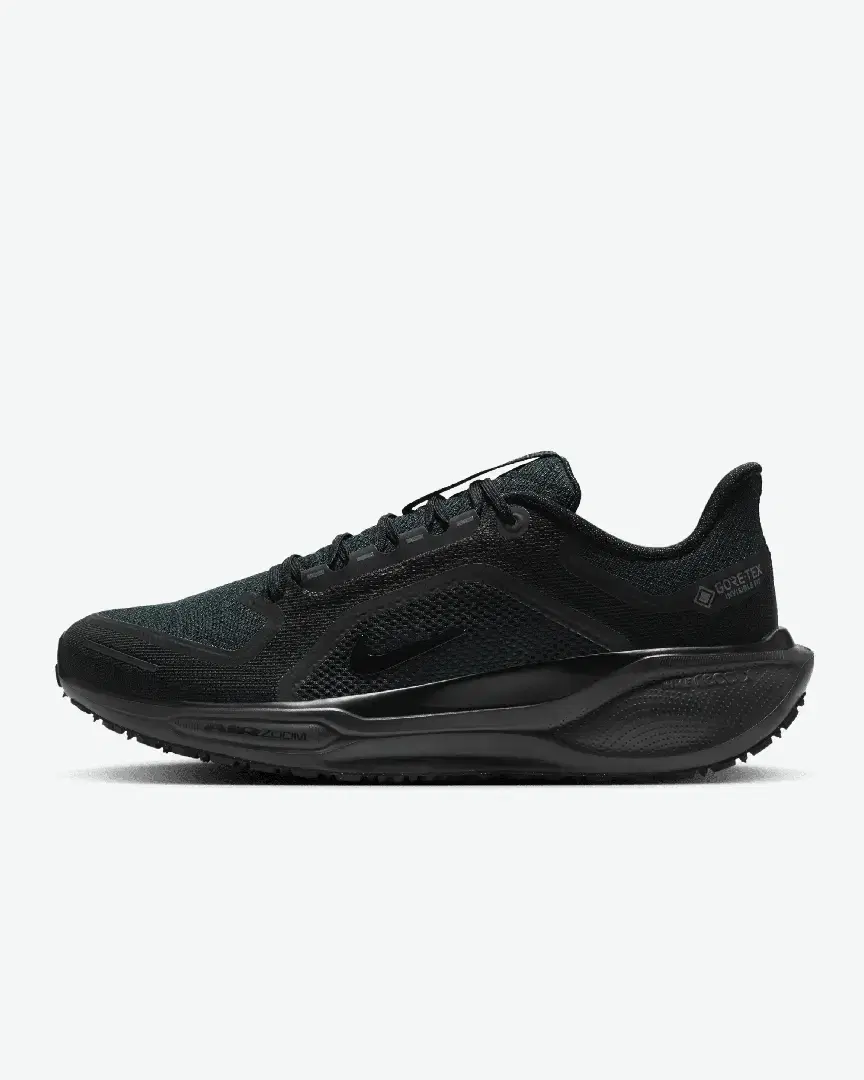 Imperméable Nike Pegasus 41 Gore-Tex M - Men (13) au meilleur prix !