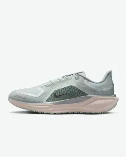 imperméable nike pegasus 41 gore-tex Homme – 1/4