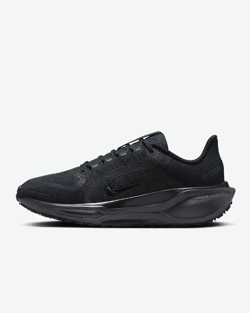 Imperméable Nike Pegasus 41 Gore-Tex W - Women (13) au meilleur prix !