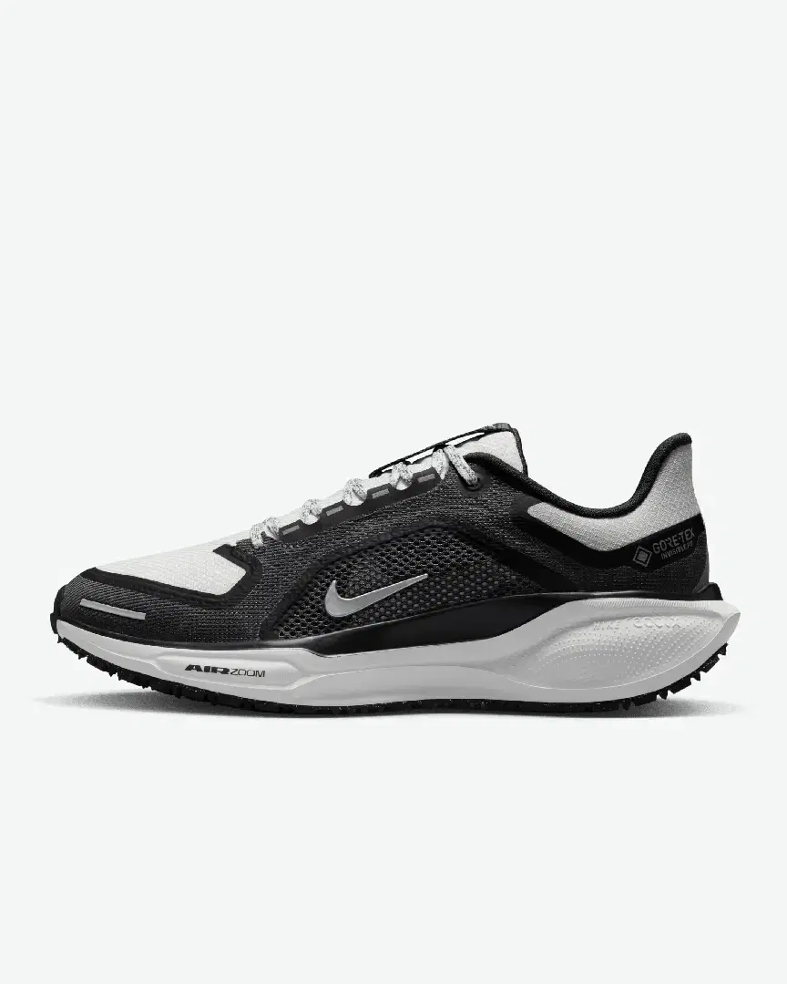 Imperméable Nike Pegasus 41 Gore-Tex W - Women (18) au meilleur prix !