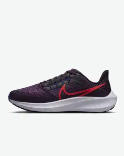Nike Air Zoom Pegasus 39 Femme – 1/4