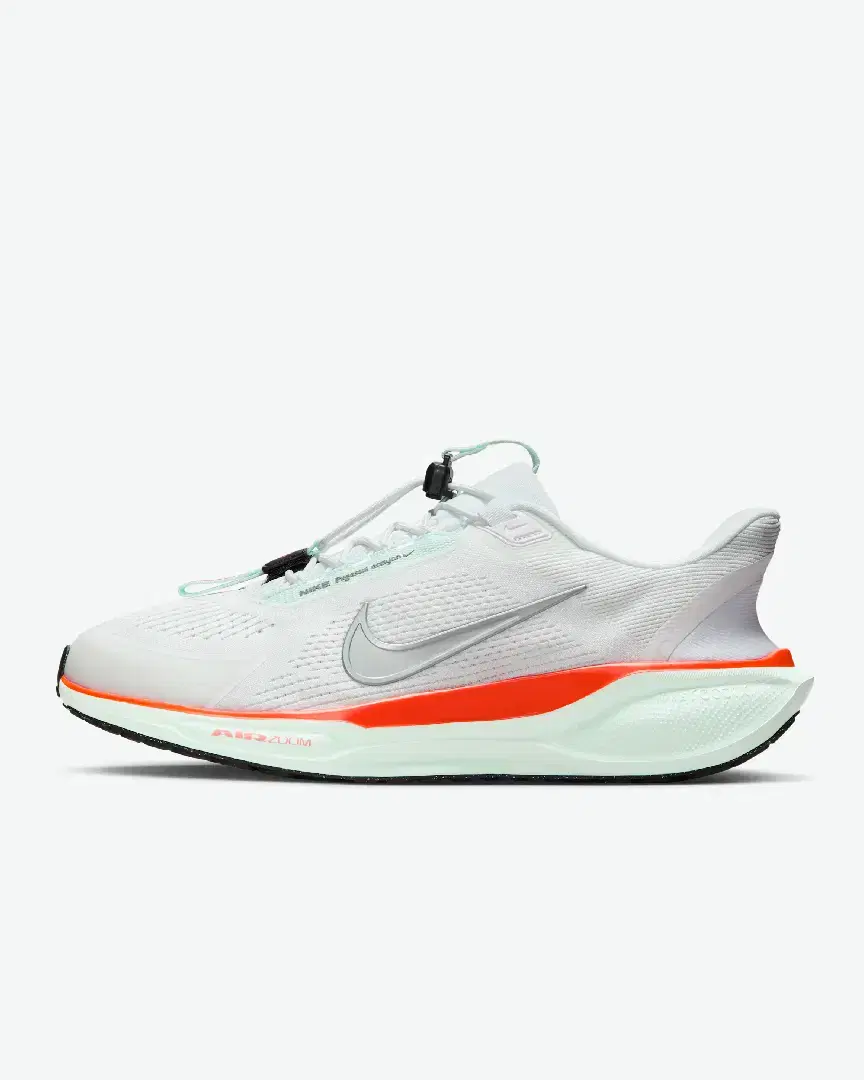 Nike Pegasus Easyon Blueprint M - Men (36) au meilleur prix !