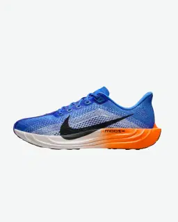 Nike Pegasus Plus Homme – 1/5