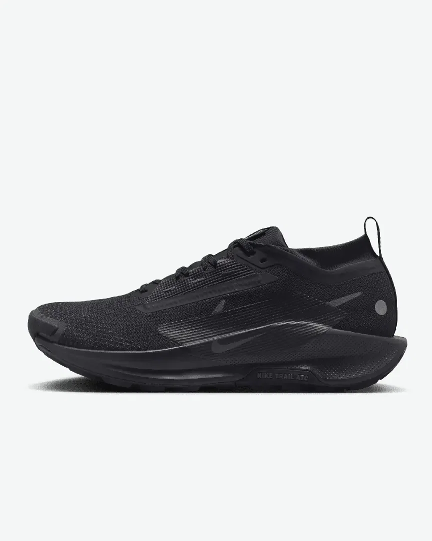 Nike Pegasus Trail 5 Gore-Tex M