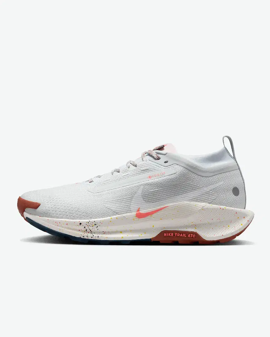 Nike Pegasus Trail 5 Gore-Tex M - Men (27) au meilleur prix !