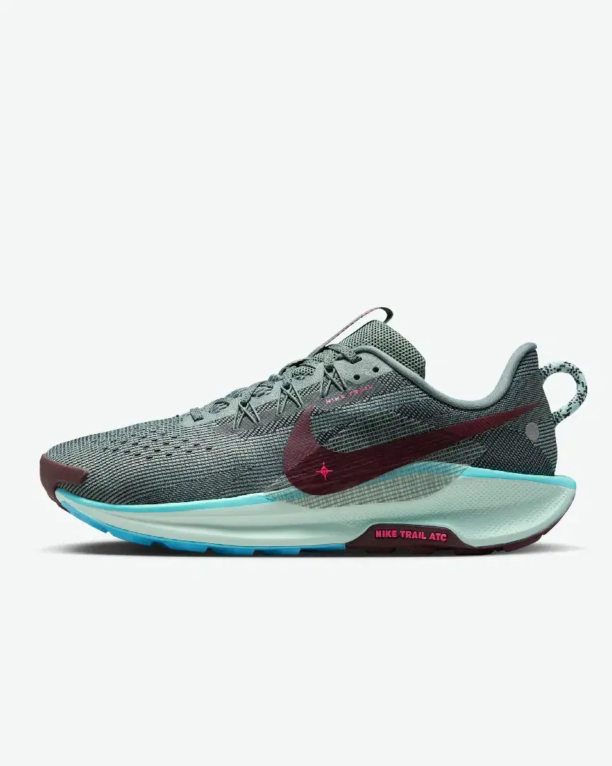 Nike Pegasus Trail 5 M - Men (1) au meilleur prix !