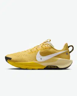 Nike Pegasus Trail 5 Homme – 1/4