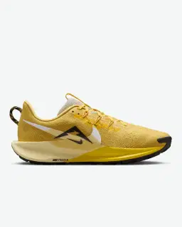 Nike Pegasus Trail 5 Homme – 3/4