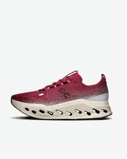 On Running Cloudsurfer Max Homme – 1/5