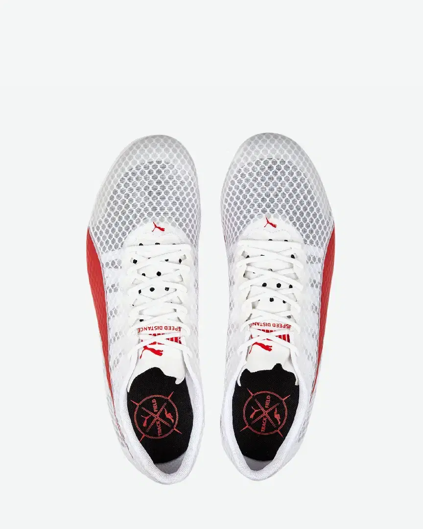 Puma evoSPEED Tokyo Nitro M - 377961-03 (5) au meilleur prix !