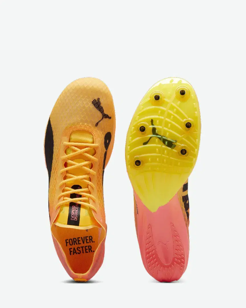 Puma D'athlétisme Evospeed Distance Nitro™ Elite+ 4 - 380000-01 (3) au meilleur prix !