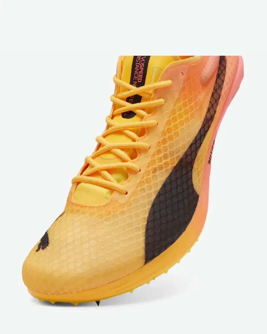 Puma D'athlétisme Evospeed Distance Nitro™ Elite+ 4 - 380000-01 (5) au meilleur prix !