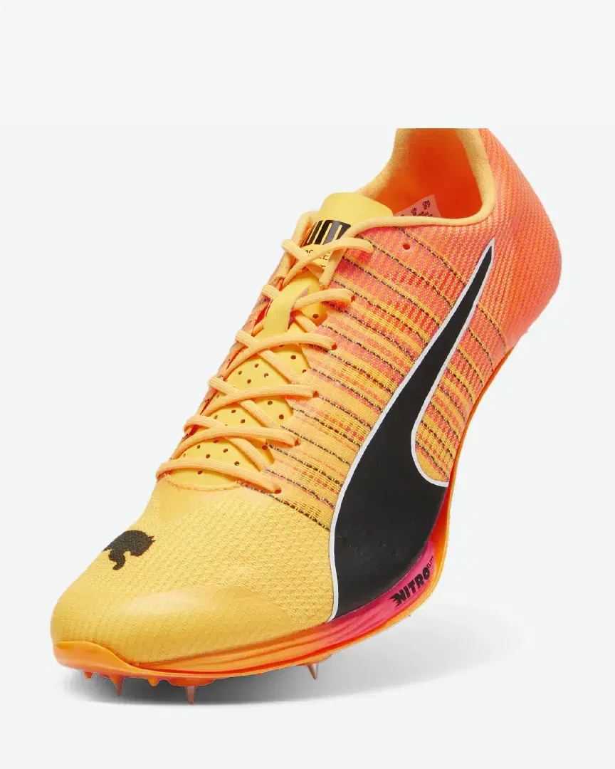 Puma D'athlétisme Evospeed Sprint Nitro™ 2 - 380002-01 (5) au meilleur prix !