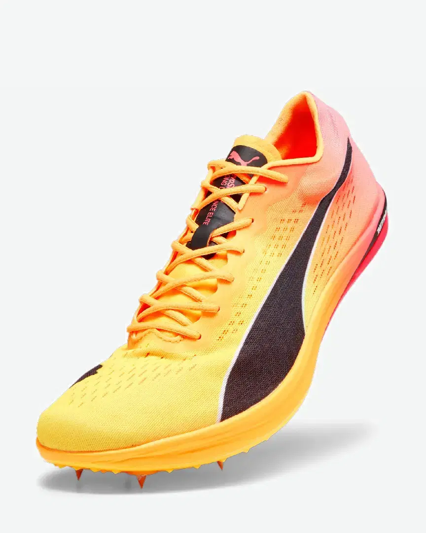 Puma Longue Distance Evospeed Nitro Elite+ - 378222-03 (5) au meilleur prix !