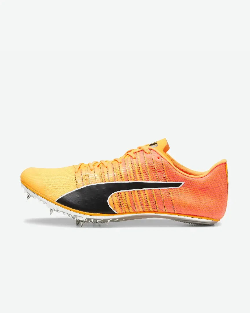 Puma evospeed brush 6 Unisexe