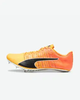 Puma evospeed brush 6 Unisexe – 1/6