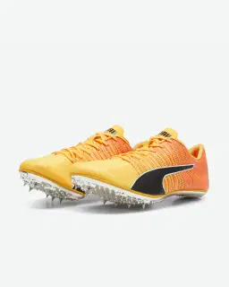 Puma evospeed brush 6 Unisexe – 2/6