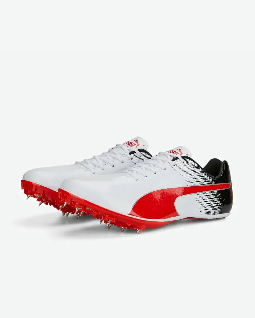 Puma Evospeed Sprint 14 - 377001-03 (4) au meilleur prix !