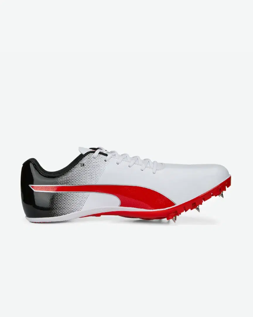 Puma Evospeed Sprint 14 - 377001-03 (7) au meilleur prix !