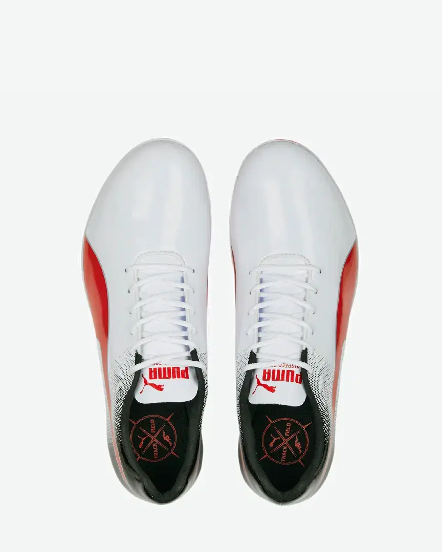 Puma Evospeed Sprint 14 - 377001-03 (8) au meilleur prix !