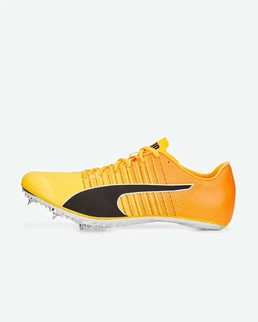 Puma evoSPEED TOKYO BRUSH 4 - 376998-01 (0) au meilleur prix !