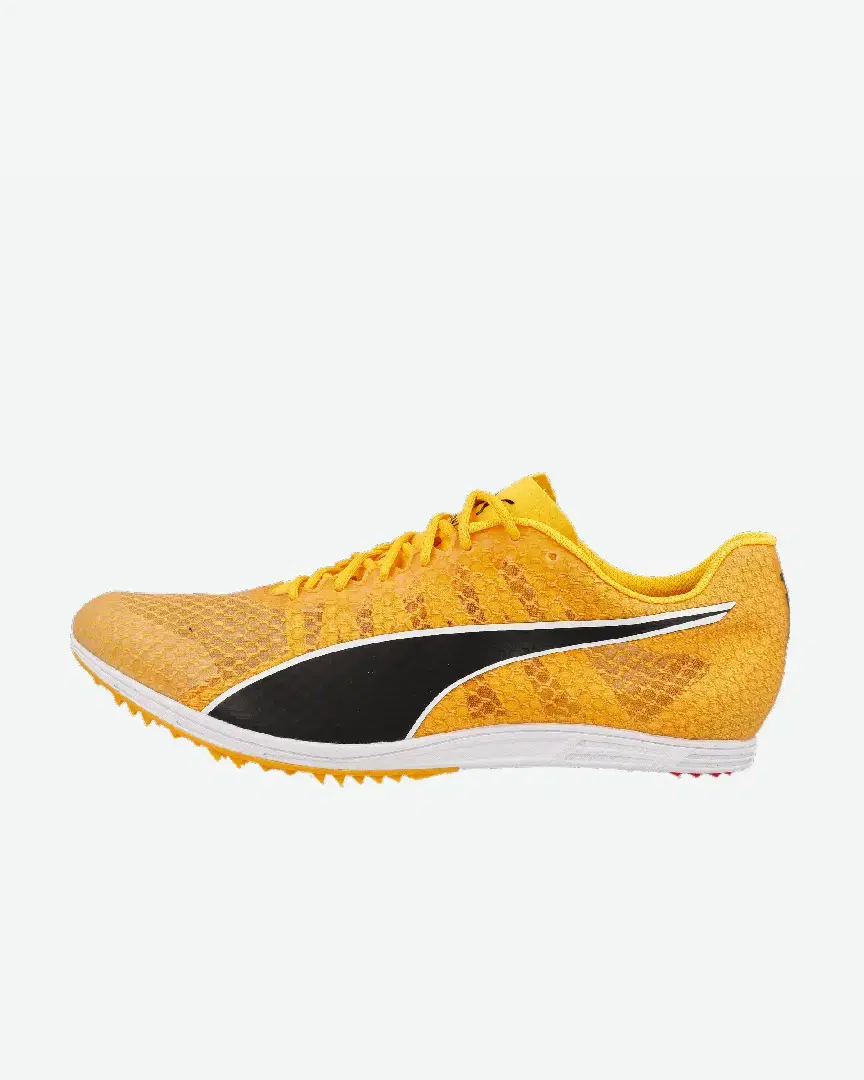 S Evospeed Distance 11 - 377961-01 (1) au meilleur prix !