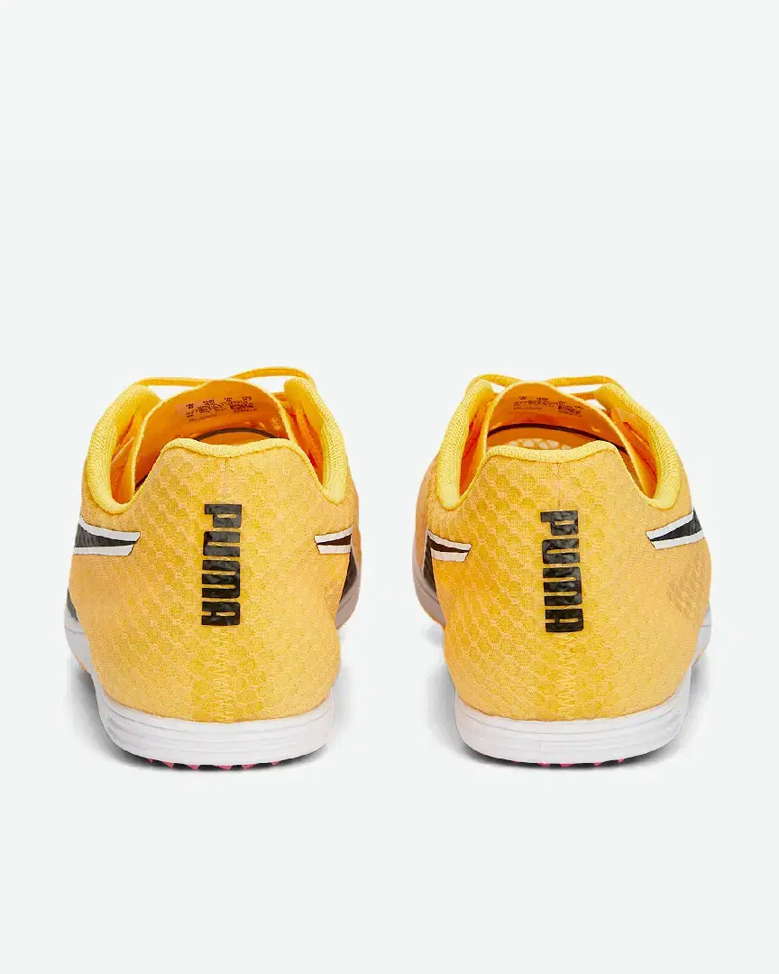 S Evospeed Distance 11 - 377961-01 (2) au meilleur prix !