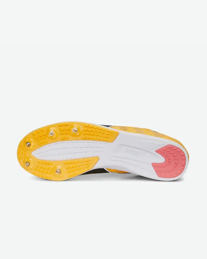 S Evospeed Distance 11 - 377961-01 (3) au meilleur prix !