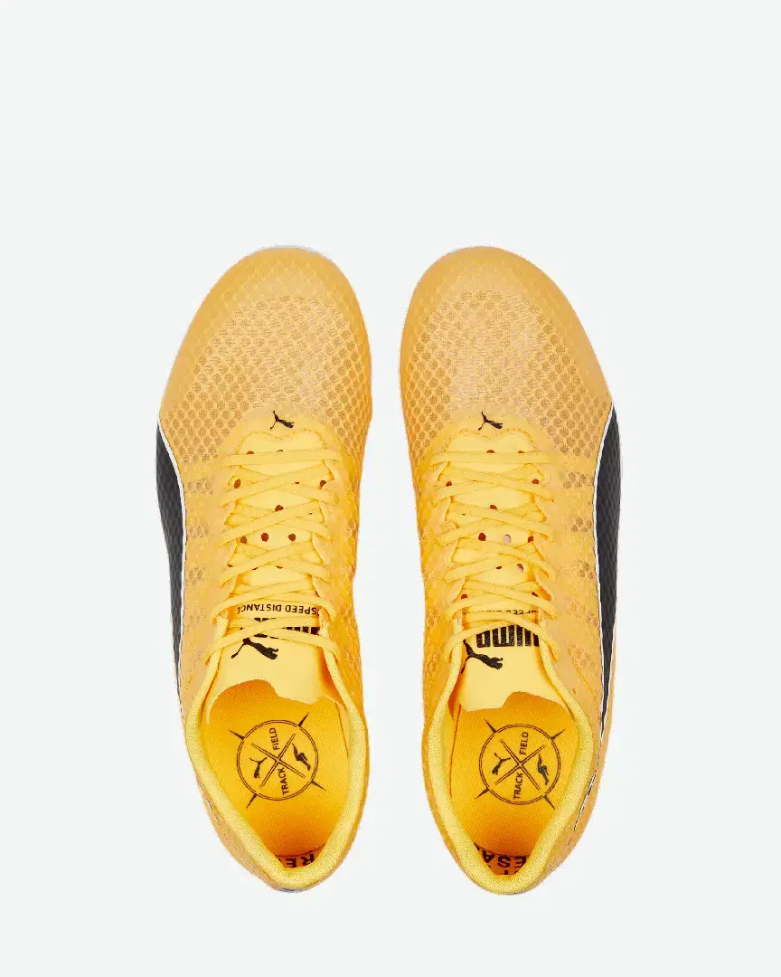 S Evospeed Distance 11 - 377961-01 (5) au meilleur prix !