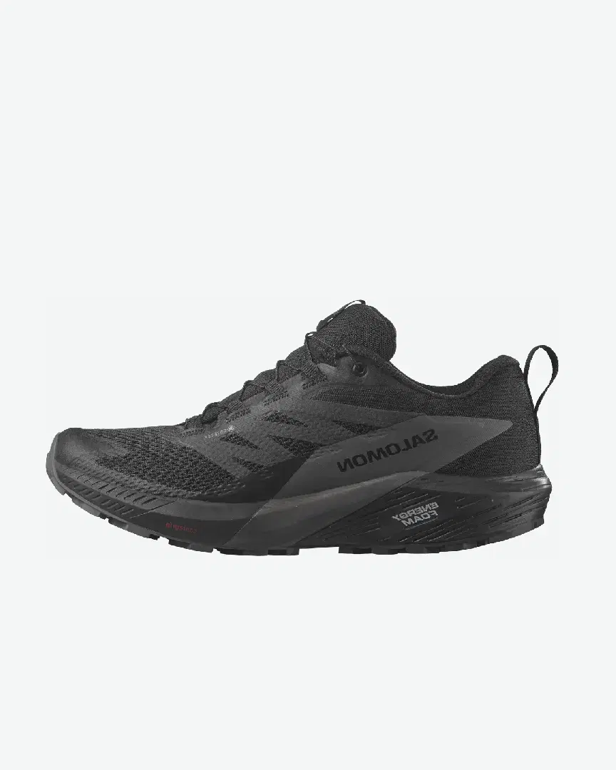 Salomon Sense Ride 5 Gtx M - Men (10) au meilleur prix !