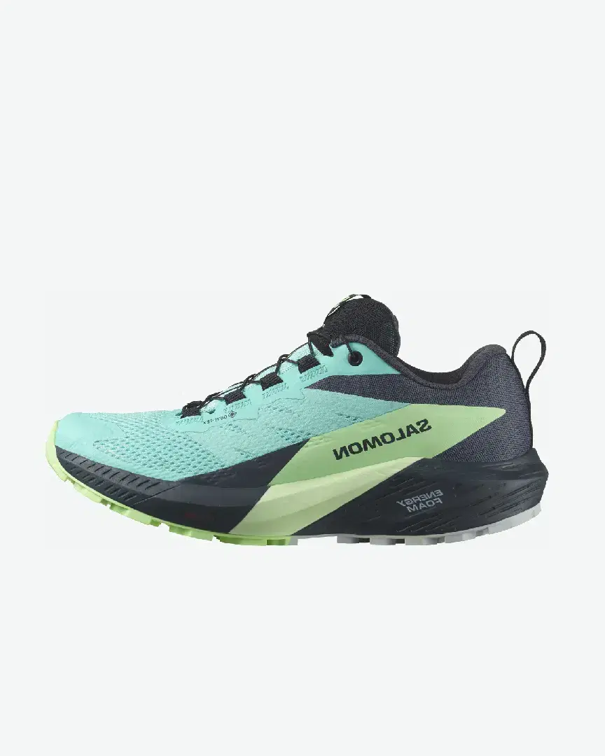 Salomon Sense Ride 5 W - Women (17) au meilleur prix !
