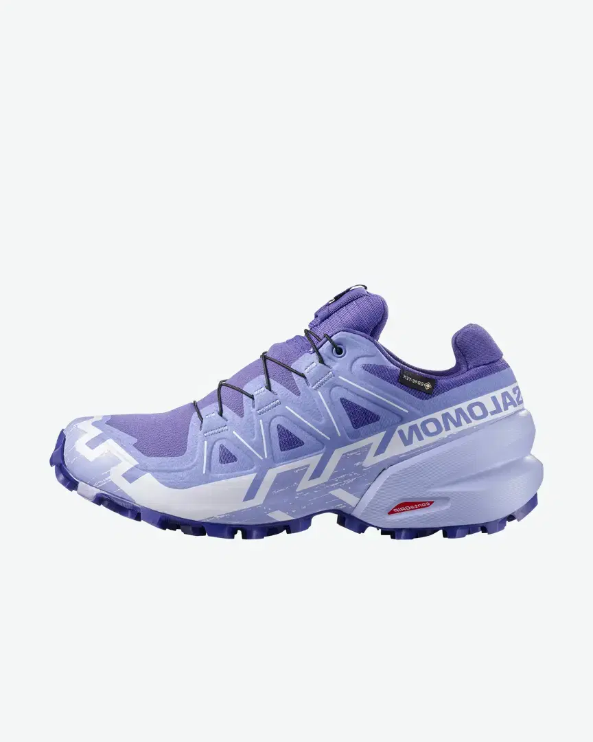 Salomon Speedcross 6 Gtx W - Women (21) au meilleur prix !