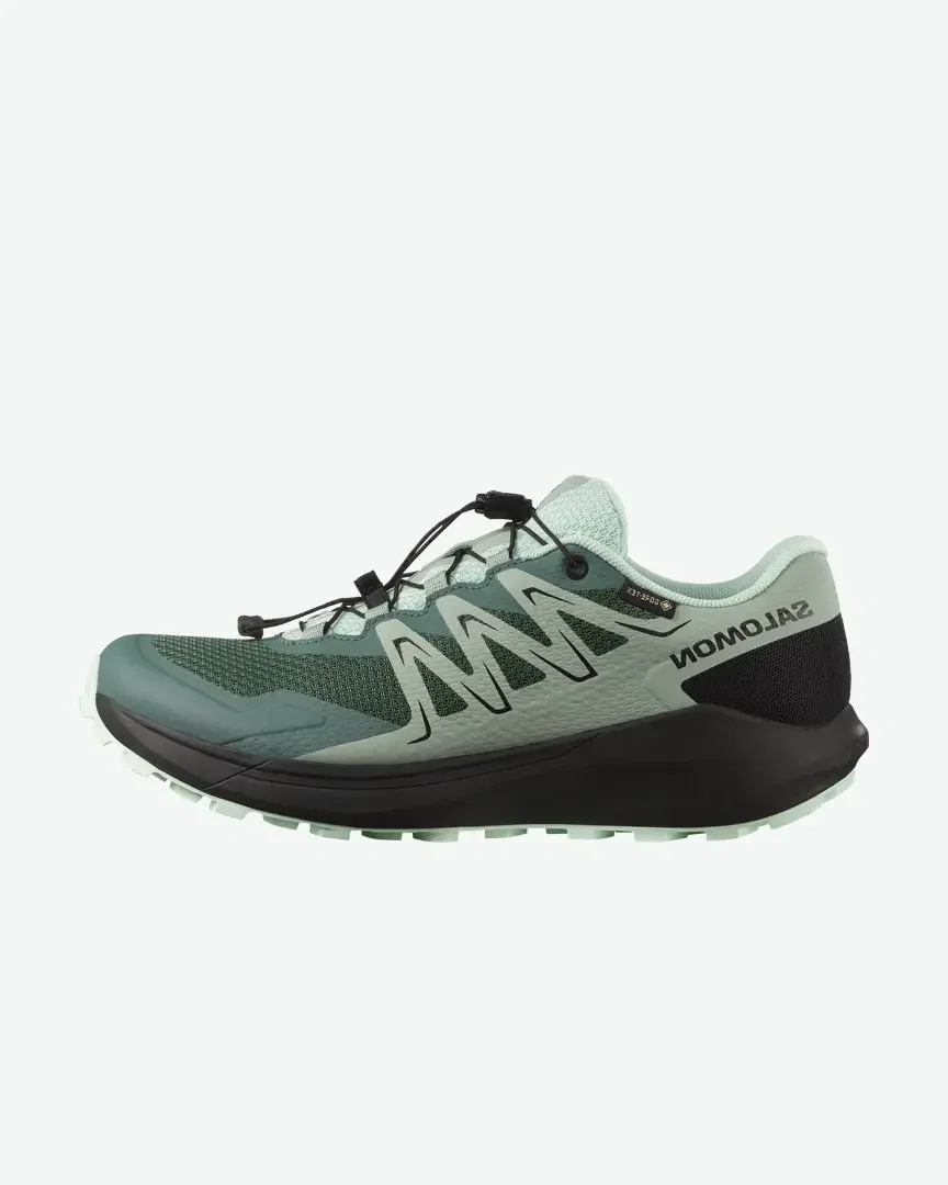 Salomon Temper Gtx W
