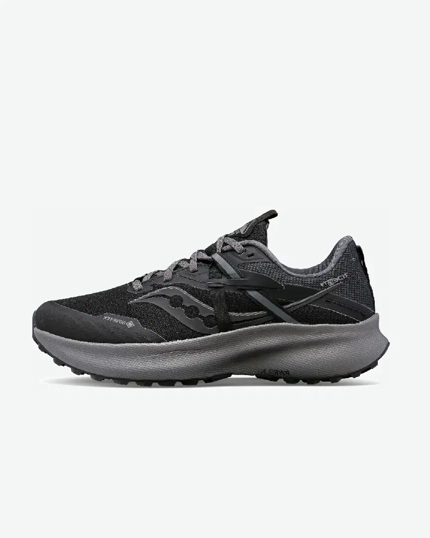 Saucony Ride 15 Tr Gtx W - Women (19) au meilleur prix !