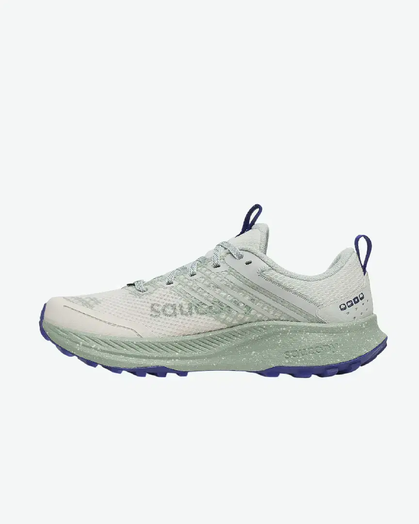 Saucony Ride Tr2 Gtx W - S10953-260 (1) au meilleur prix !
