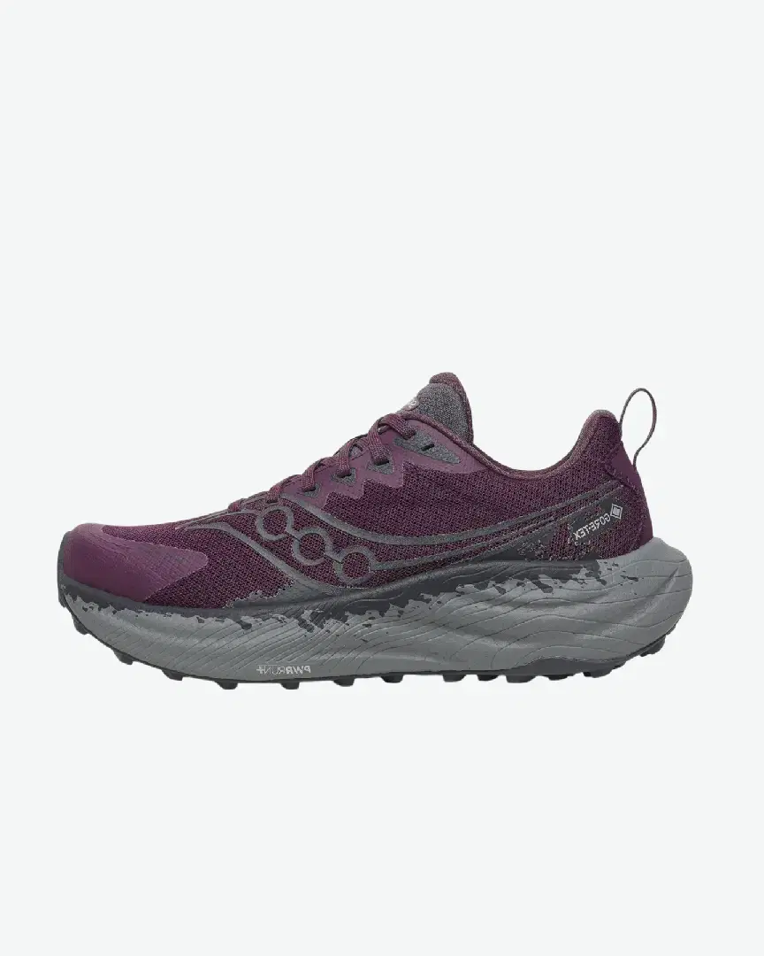 Saucony Ride Tr3 Gtx W - Women (12) au meilleur prix !