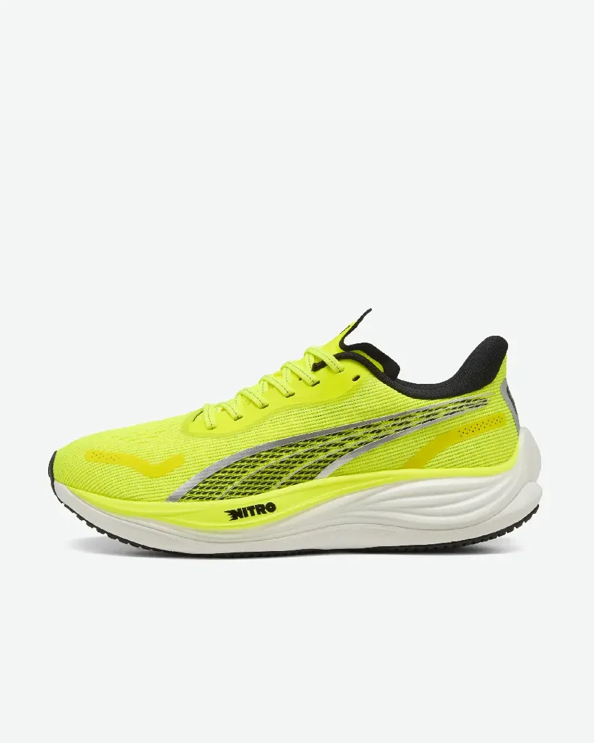 velocity nitro 3 Homme